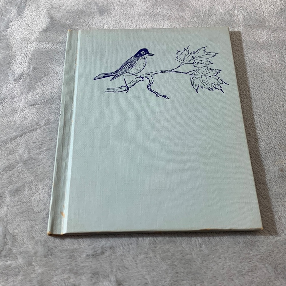 Bird 1966 Children's Vintage Book by Edward Victor Follett